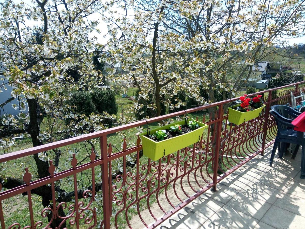 Homestay Strozowka Горлице Екстериор снимка